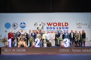 zSpring Dog Show - Zagreb CACIB 2024